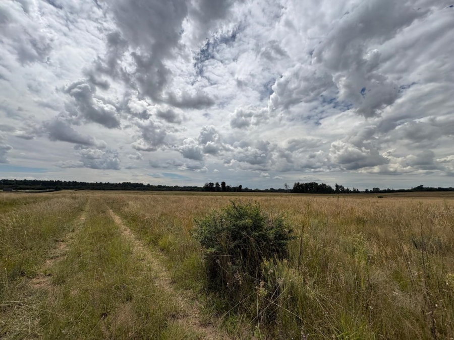 0 Bedroom Property for Sale in Vaalpark Free State